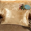 High-end brocade jacquard four-piece set, modal lace trim craft duvet cover, European-style simple bedding Application Scenario